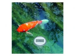 TFA Dostmann Funk-Thermometer PALMA, für Pool -Prüfwerkzeug Verkäufe 183923257 xxl