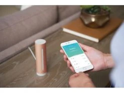 Netatmo Thermo-/Hygrometer Smarter Raumluftsensor -Prüfwerkzeug Verkäufe 52399923 xxl